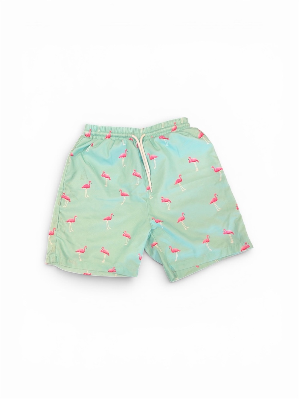 Boys size 7 Mint Green Flamingo Swim Shorts